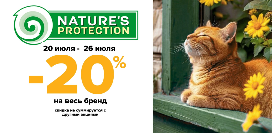 new NP -20%